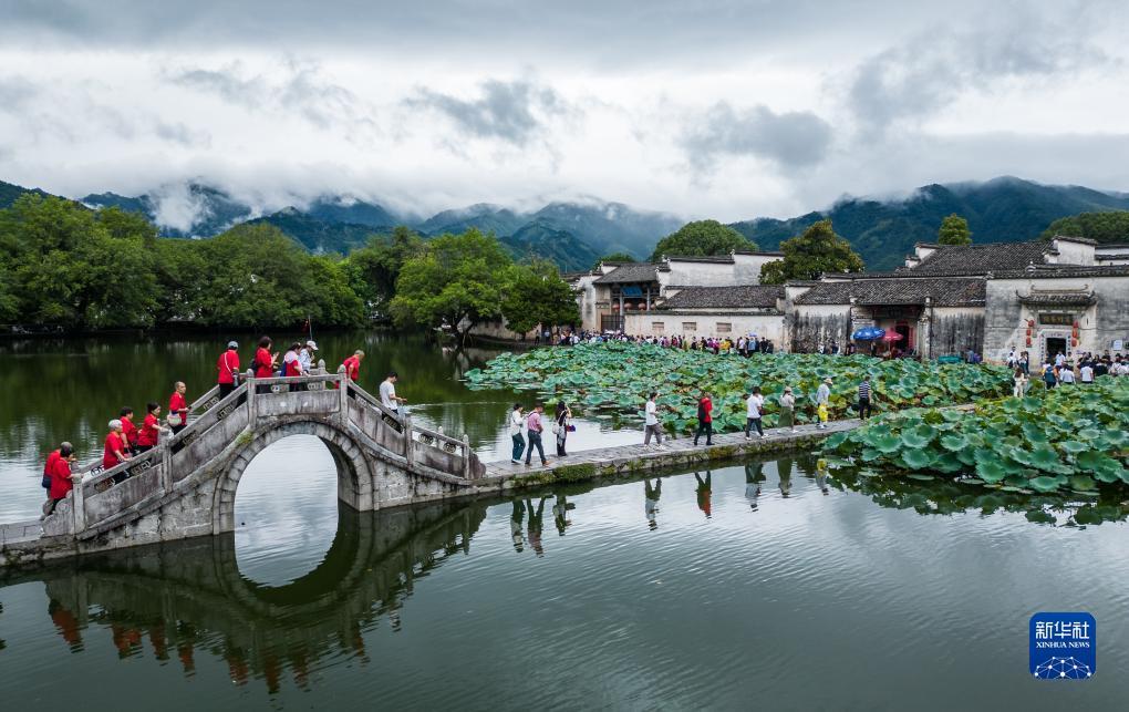 免费白菜网站大全